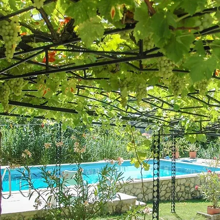 Regina Serafina Villa Baltsjik