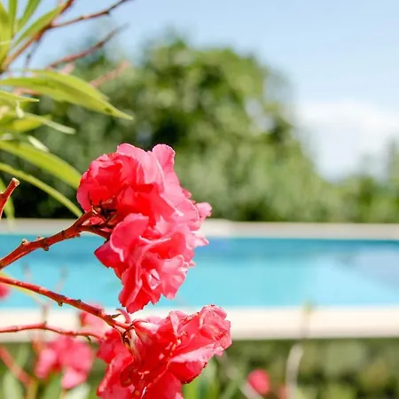 Villa Regina Serafina Balchik