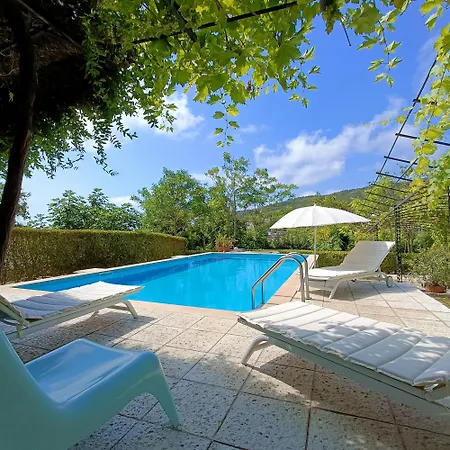 Regina Serafina Vila *