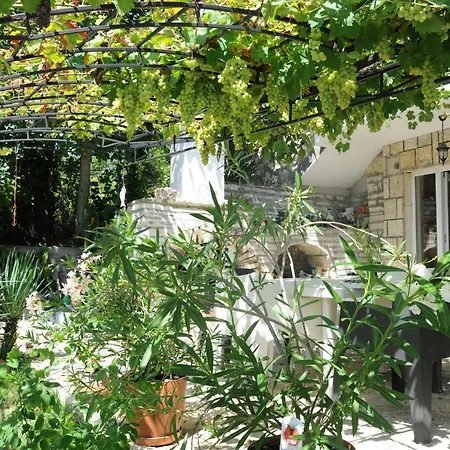 Regina Serafina Villa Baltsjik