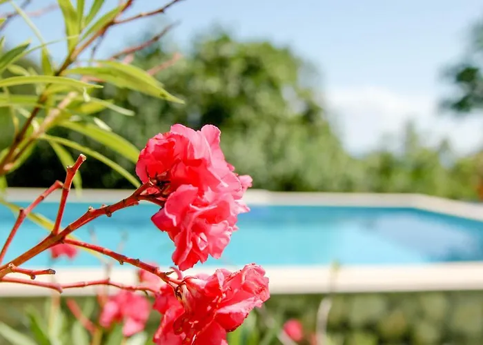 Willa Regina Serafina Bałczik