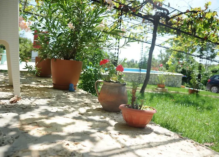 Regina Serafina Willa