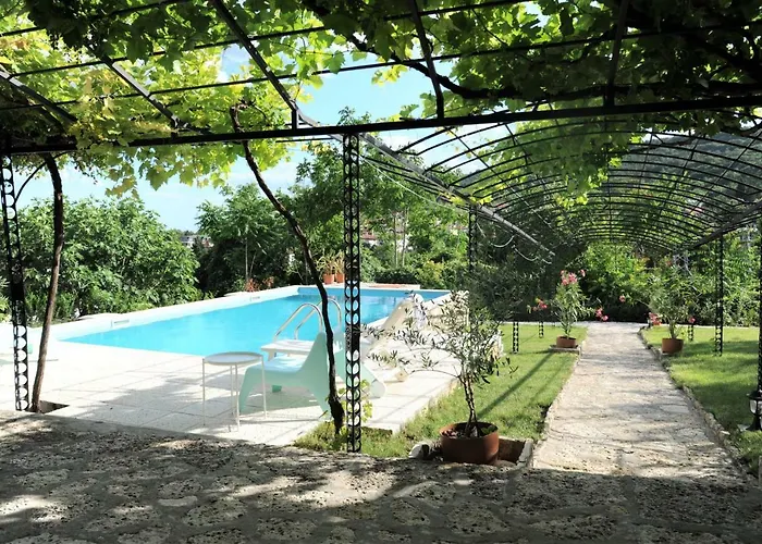 Willa Regina Serafina *