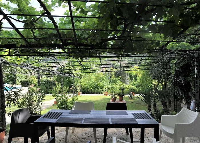 Willa Regina Serafina *